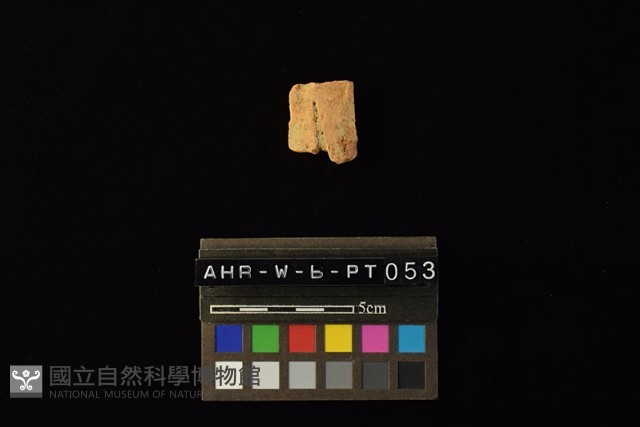陶片藏品圖，第2張