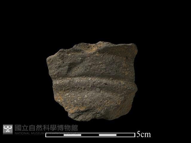 陶片藏品圖，第1張