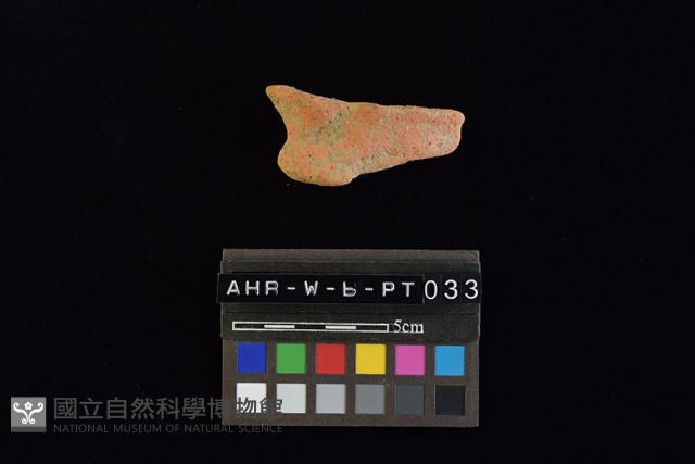 陶片藏品圖，第2張