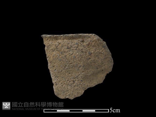 陶片藏品圖，第1張
