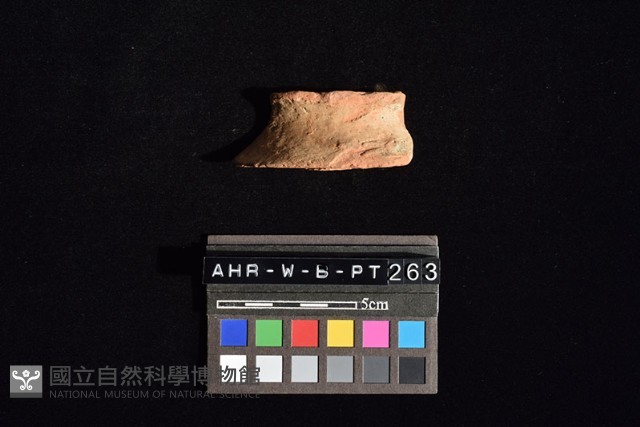 陶片藏品圖，第2張