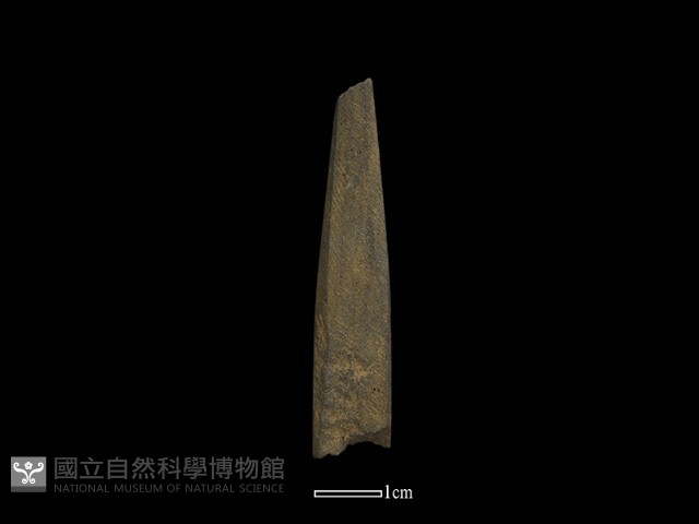 鑽頭藏品圖，第2張