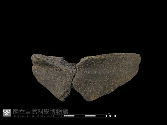 陶片藏品圖，第1張