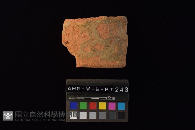 陶片藏品圖，第2張