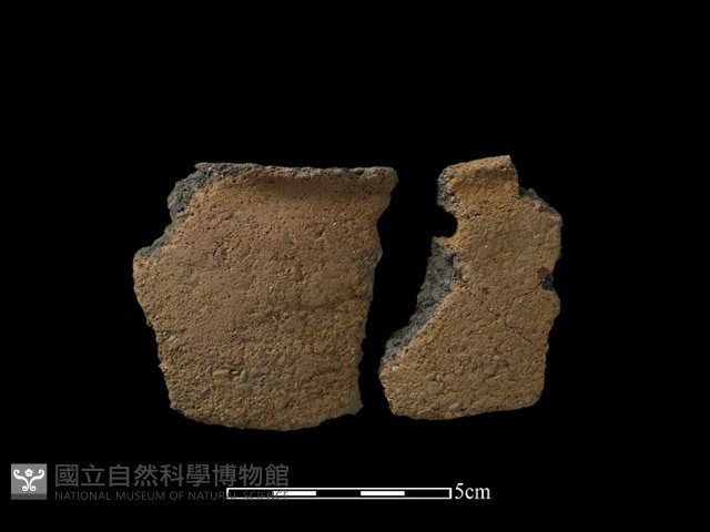 陶片藏品圖，第2張
