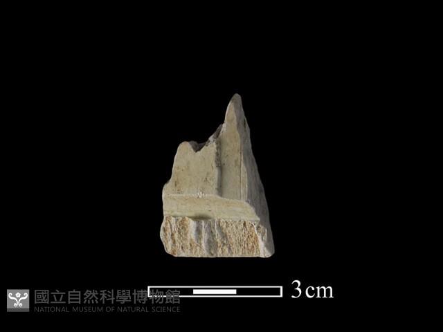 帶加工痕玉材藏品圖，第2張