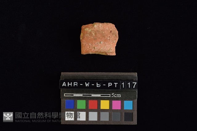 陶罐藏品圖，第2張
