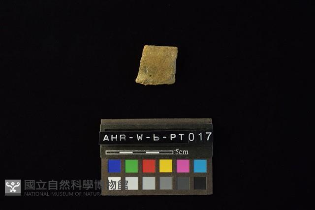 陶片藏品圖，第2張