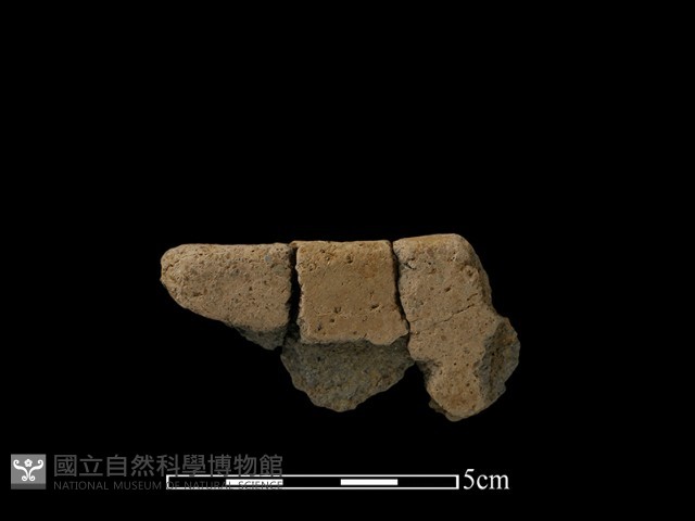 陶片藏品圖，第2張