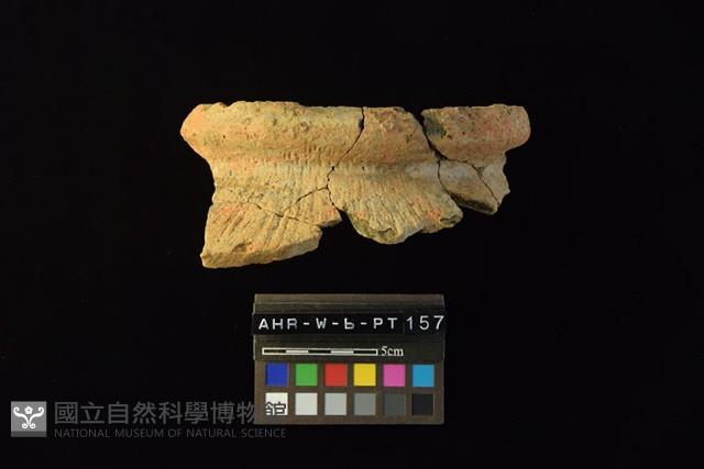 陶罐藏品圖，第2張