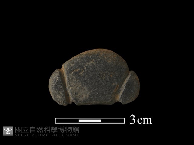 網墜藏品圖，第1張