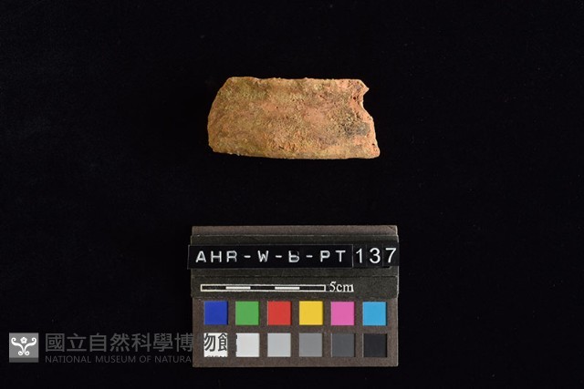 陶片藏品圖，第1張