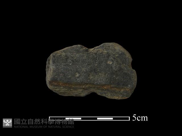 Accession Number:PTT-2009-0137 Collection Image, Figure 1, Total 2 Figures