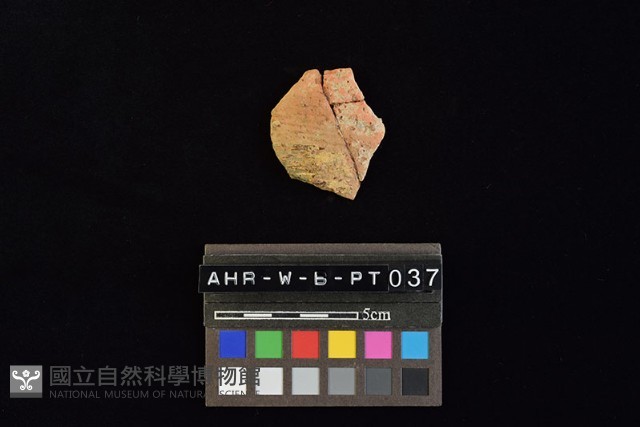 陶片藏品圖，第1張