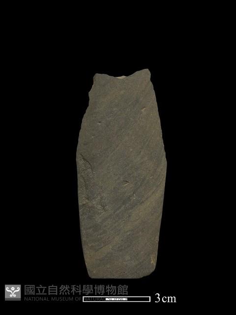 Accession Number:PTT-2011-1437 Collection Image, Figure 2, Total 2 Figures