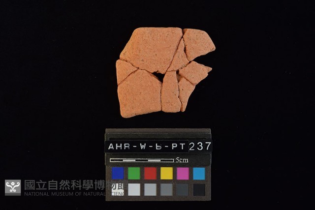 陶片藏品圖，第2張