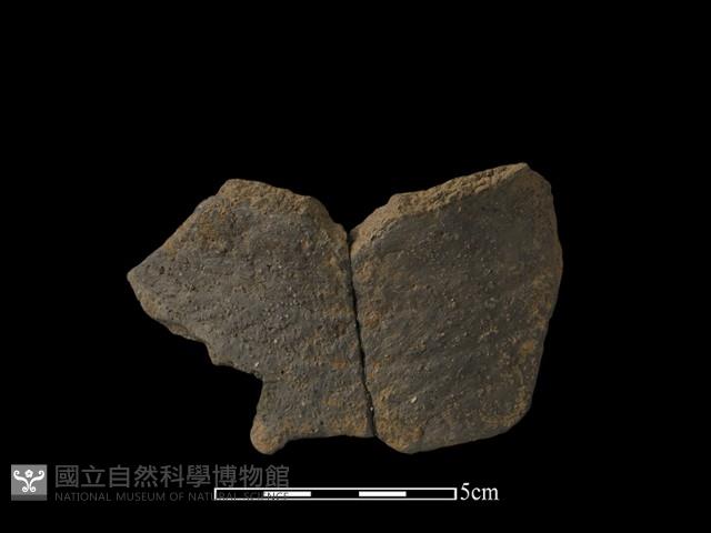 陶片藏品圖，第1張