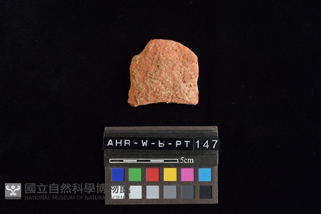陶片藏品圖，第2張