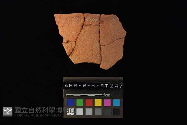 陶片藏品圖，第2張
