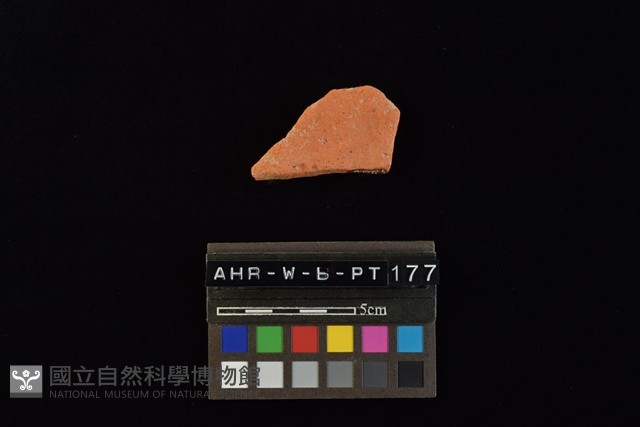 連杯形器藏品圖，第2張