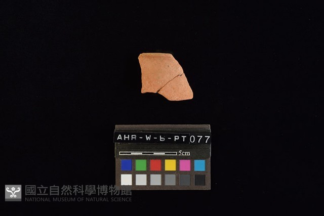 陶片藏品圖，第2張