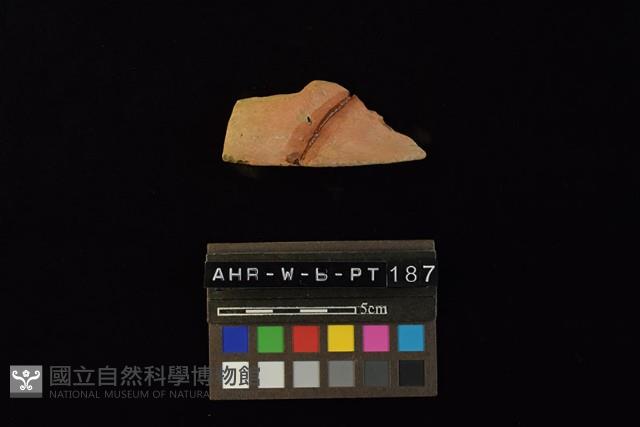 陶片藏品圖，第1張