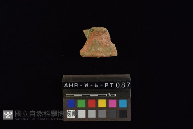 陶片藏品圖，第2張