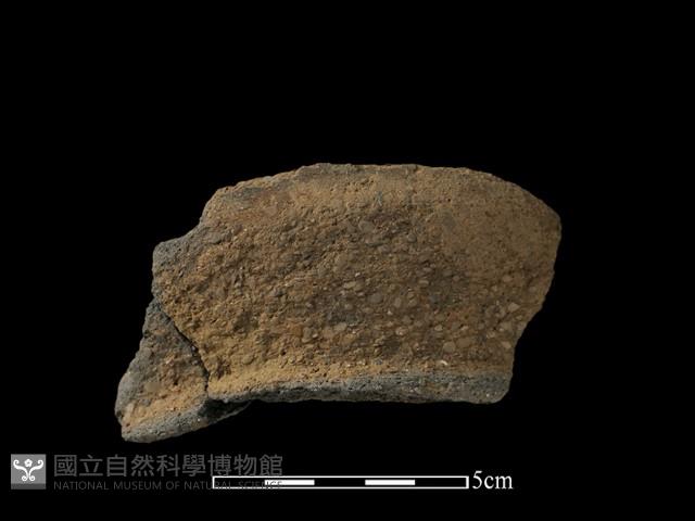 陶片藏品圖，第1張