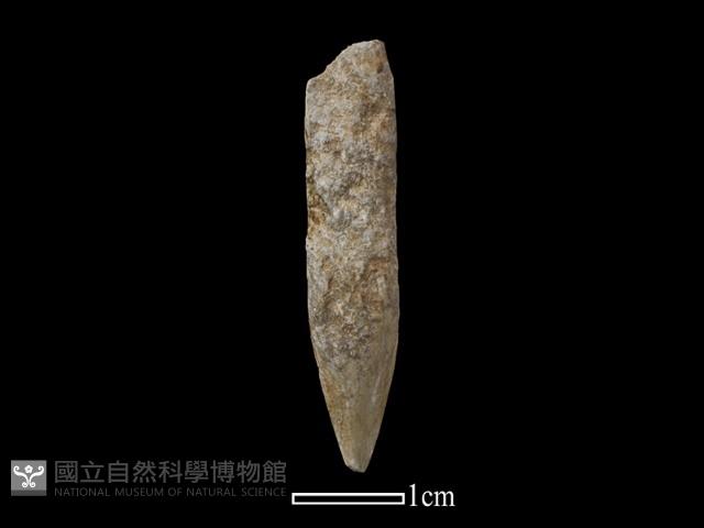 鑽頭藏品圖，第2張