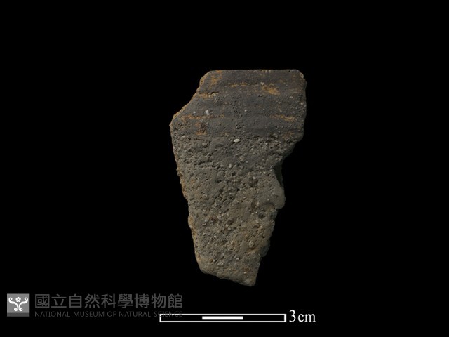 陶片藏品圖，第1張