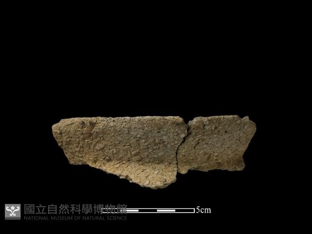 陶片藏品圖，第2張