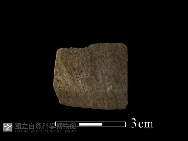 錛鑿形器藏品圖，第2張