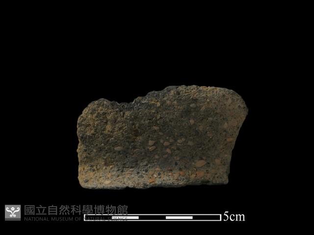 陶片藏品圖，第1張