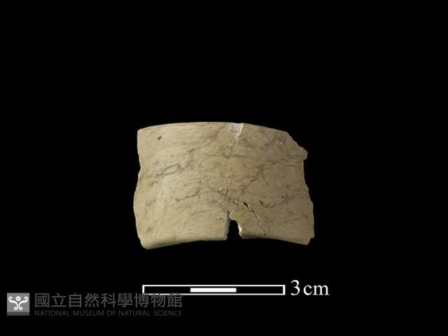 玉環藏品圖，第1張