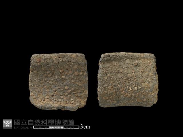 陶片藏品圖，第1張