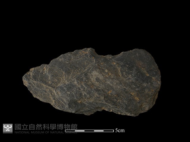 戈形器藏品圖，第1張