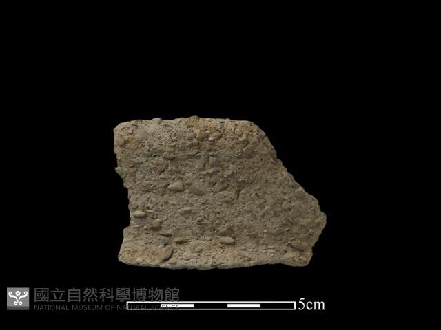 陶片藏品圖，第1張