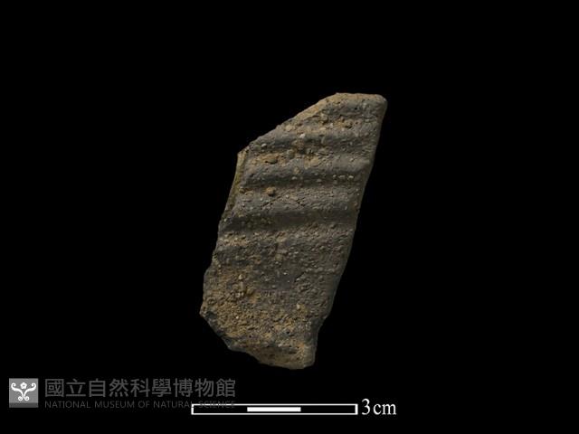 陶片藏品圖，第1張