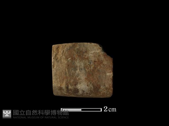 錛鑿形器藏品圖，第2張
