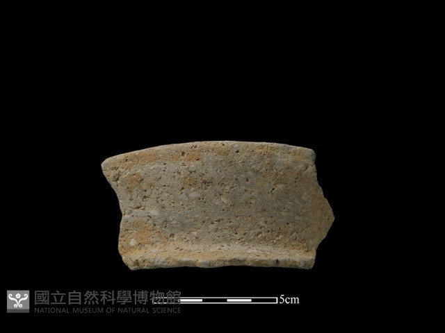 陶片藏品圖，第1張