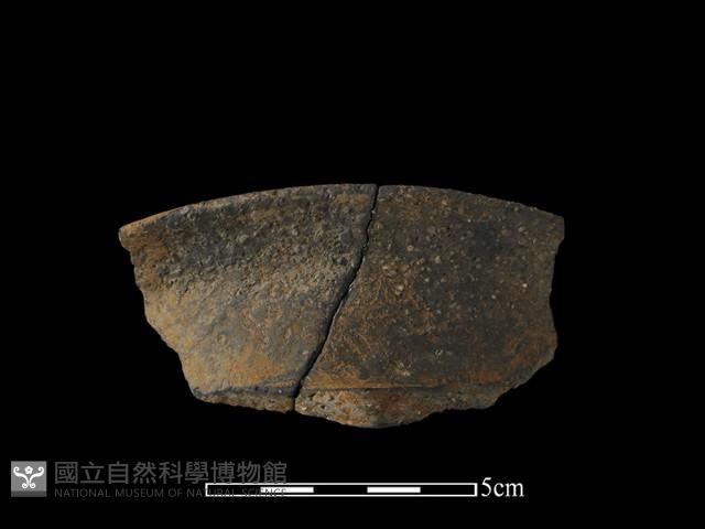 陶片藏品圖，第2張