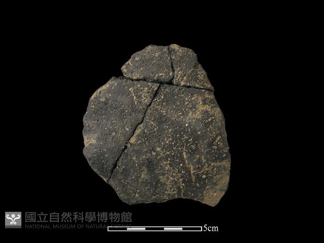 陶片藏品圖，第1張