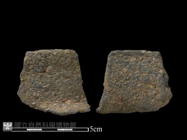 陶片藏品圖，第1張