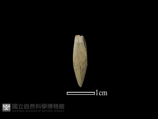 鑽頭藏品圖，第2張