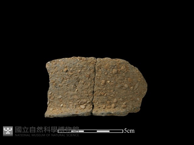 陶片藏品圖，第1張