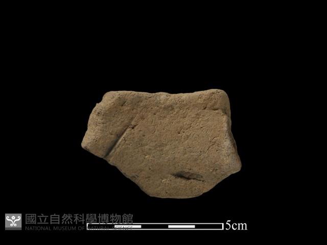 陶片藏品圖，第2張