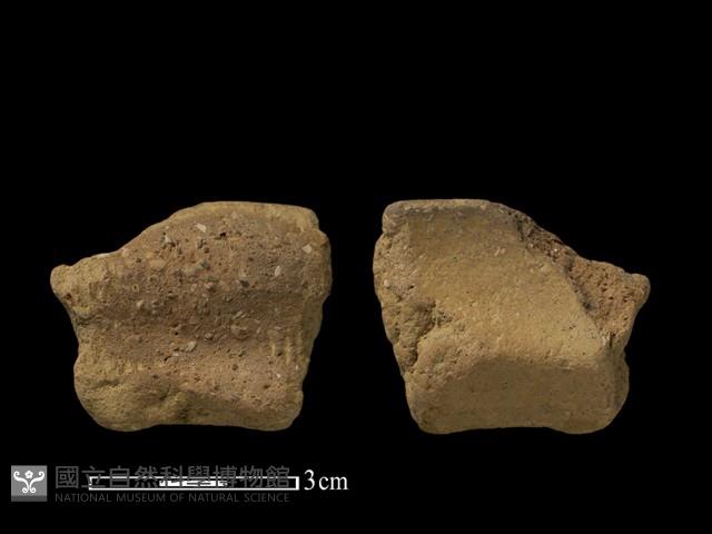 陶片藏品圖，第1張