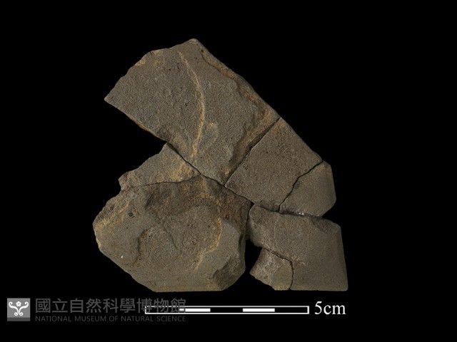 石鋸藏品圖，第2張