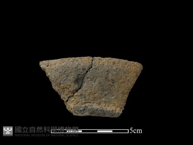 陶片藏品圖，第1張