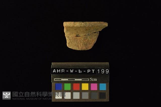 陶罐藏品圖，第2張